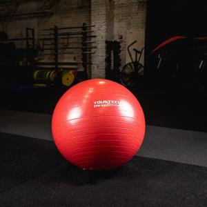 Купить Гимнастический мяч Yousteel Hard 55см в Ейске 